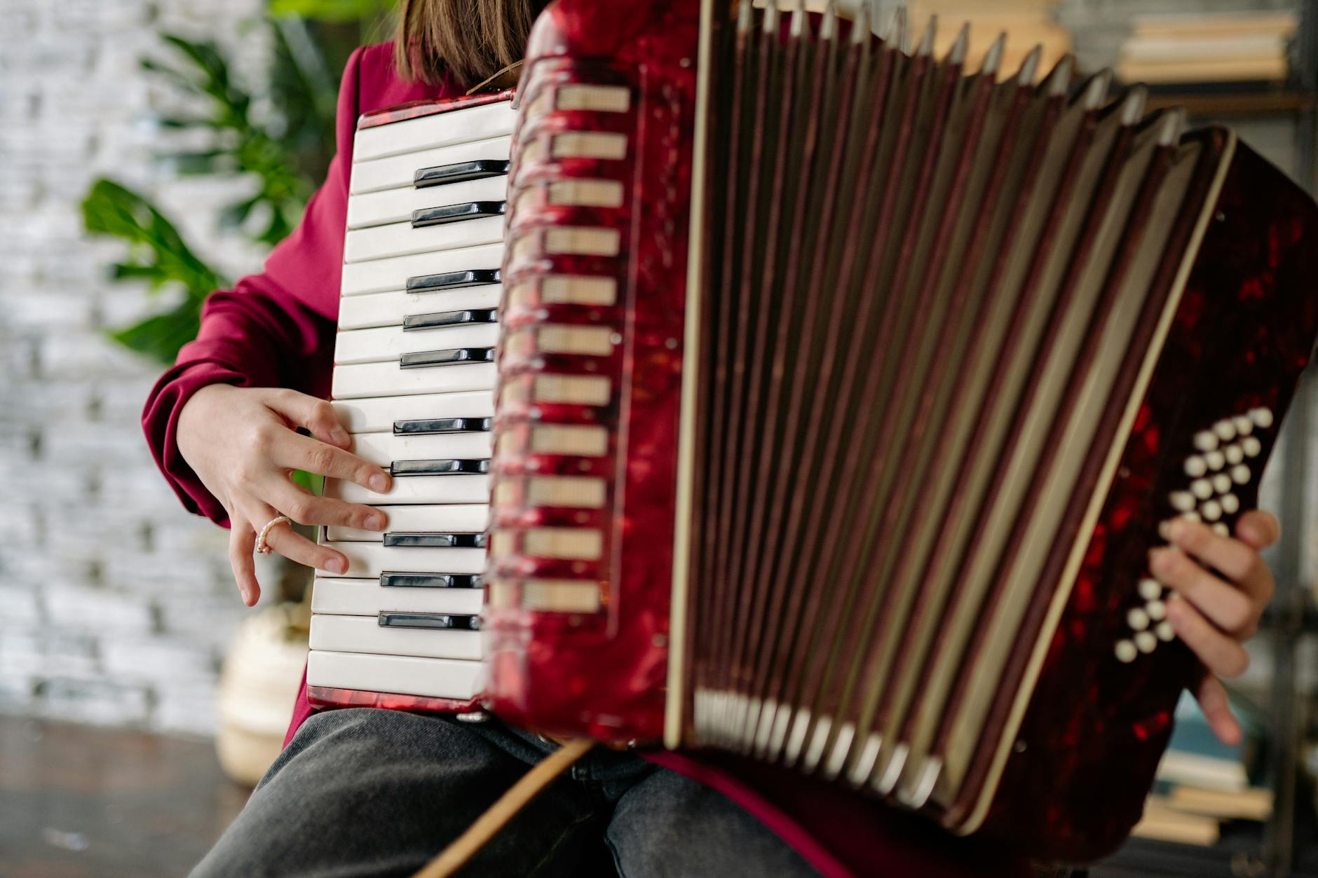 Accordion — Cross-cultural
